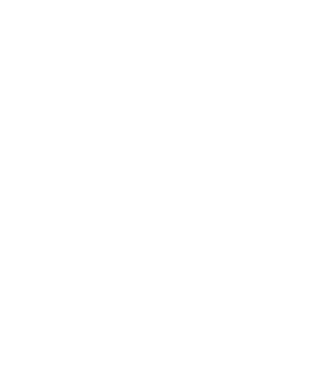 Zeta Phi Beta Sorority Shield
